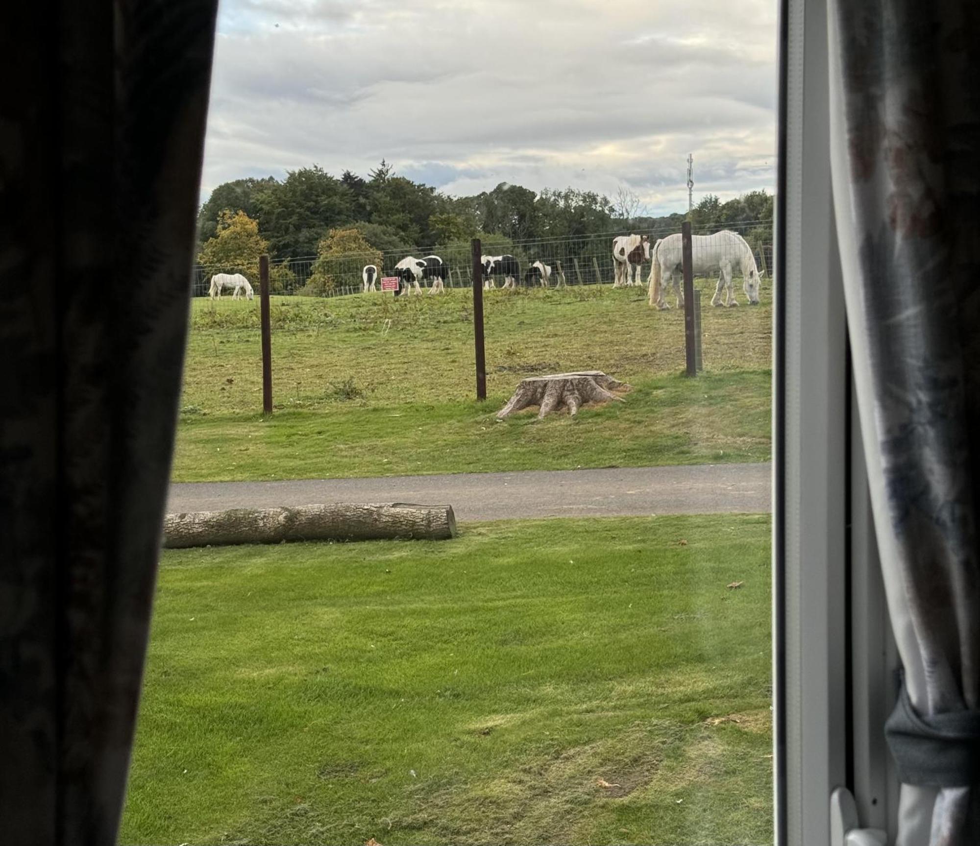Pony Gate Caravan On Haggerstone Castle West Lawn Berwick Upon Tweed Dış mekan fotoğraf